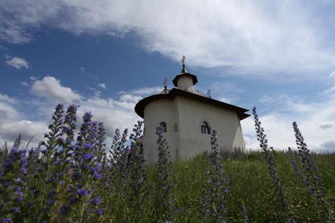 Mănăstirea Blaga